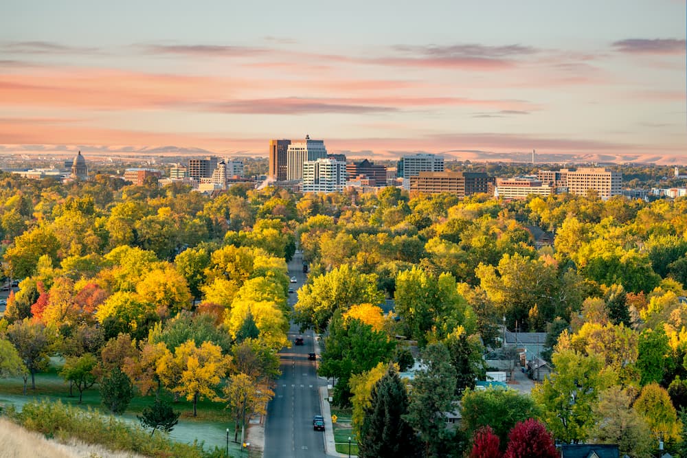 Fall colors in the city of trees Boise Idaho morning