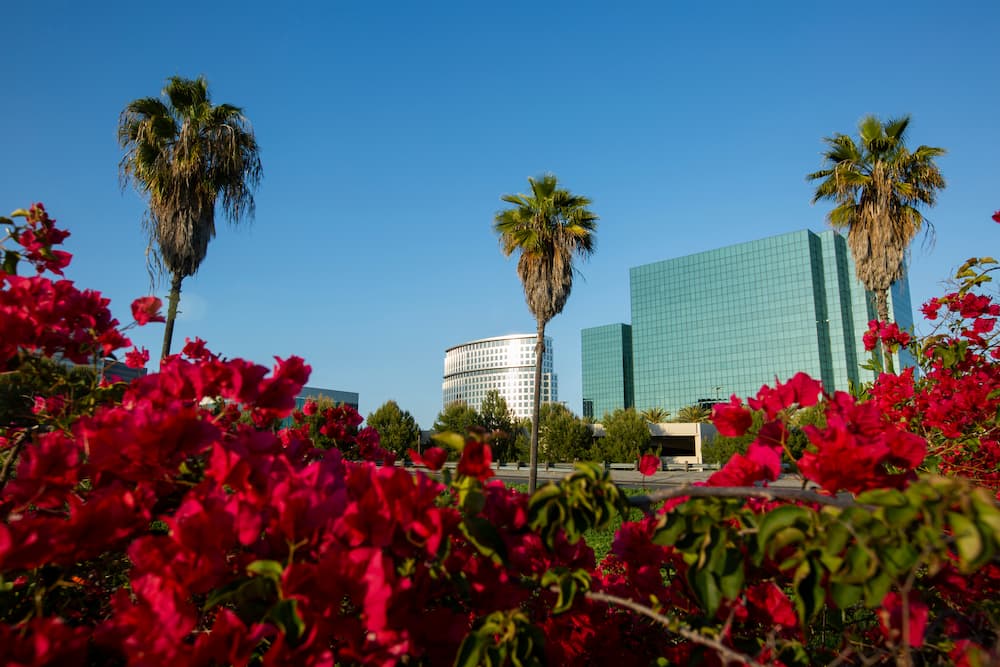 Costa Mesa Skyline in Springtime